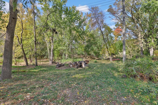 view of grassy yard