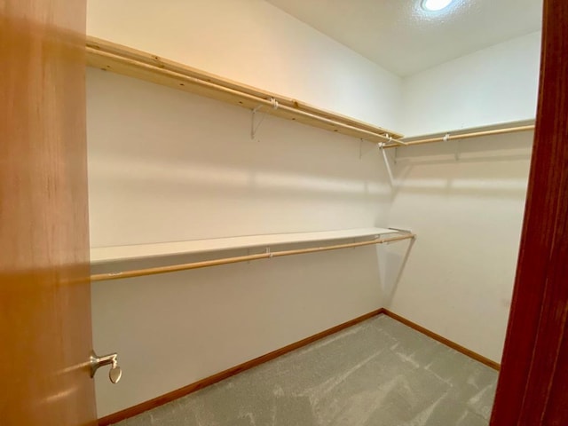 spacious closet featuring carpet floors