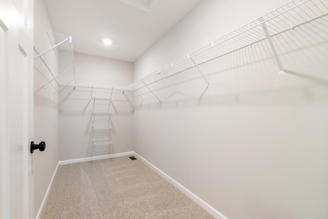 walk in closet with carpet