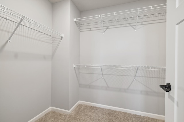 spacious closet featuring carpet floors