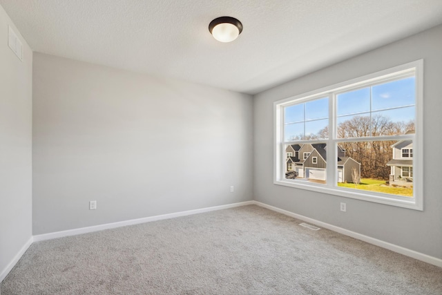 spare room with carpet flooring and a textured ceiling