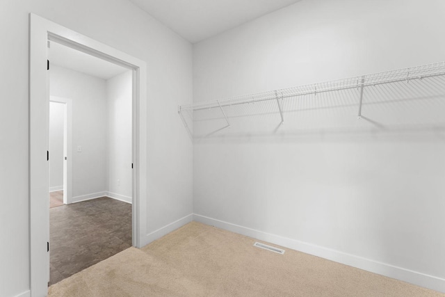 spacious closet featuring carpet flooring