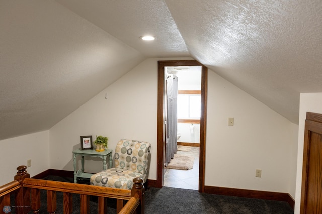 additional living space featuring lofted ceiling, light carpet, and a textured ceiling