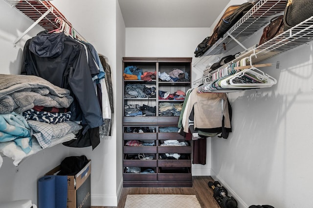 spacious closet featuring dark hardwood / wood-style flooring