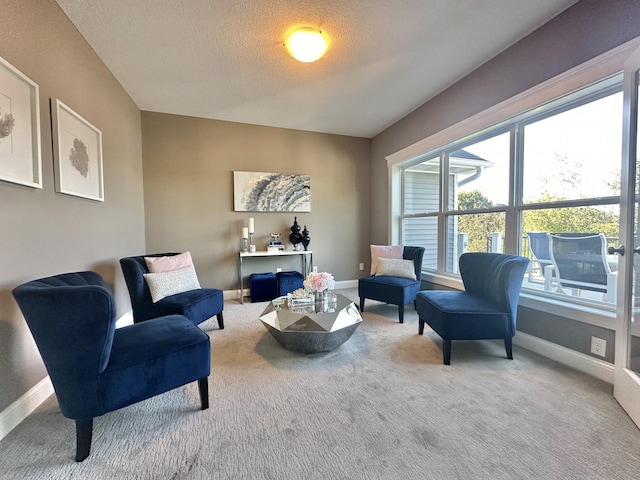 living area with light carpet and a textured ceiling