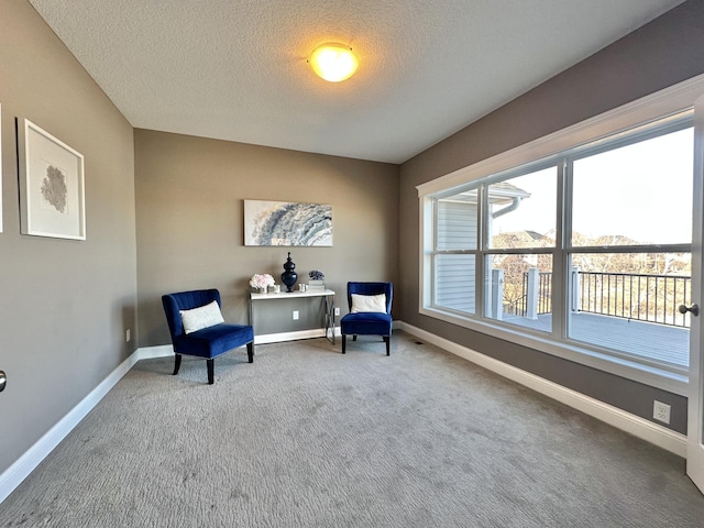 living area featuring carpet floors, baseboards, and a textured ceiling