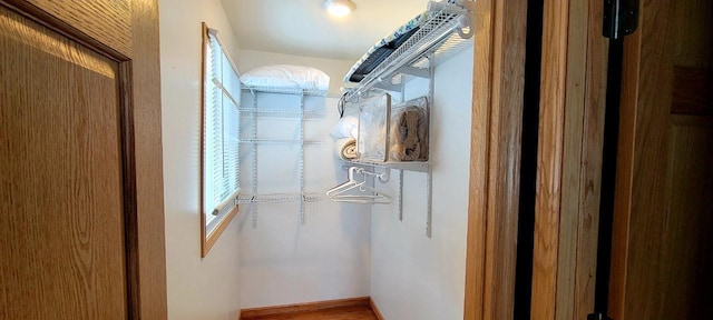 view of spacious closet