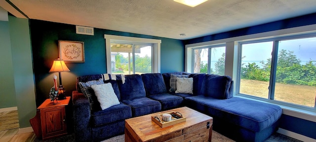 living room with a textured ceiling and hardwood / wood-style flooring