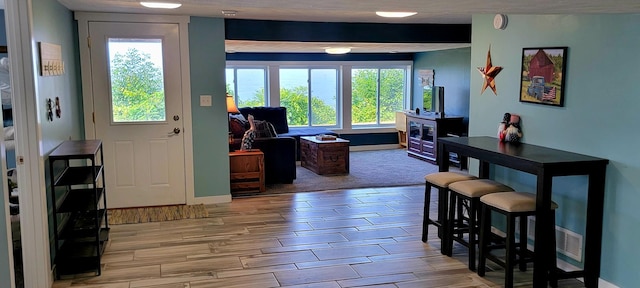 foyer entrance featuring a wealth of natural light