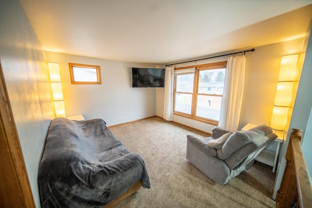 living room featuring carpet