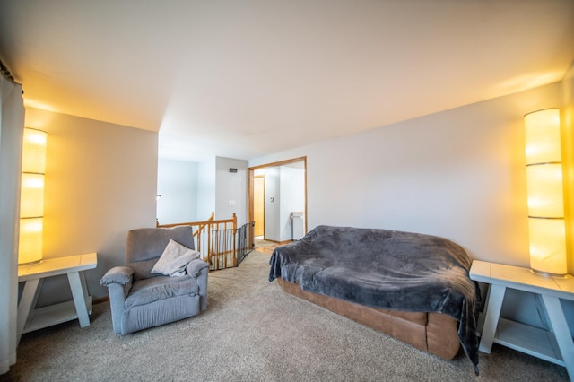 bedroom with carpet floors