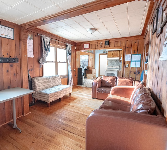 living room featuring light hardwood / wood-style flooring and wooden walls