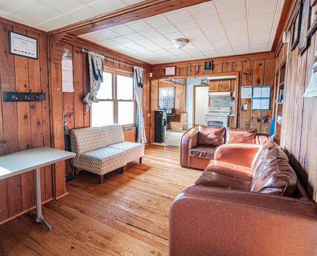 living room with wooden walls and light hardwood / wood-style floors