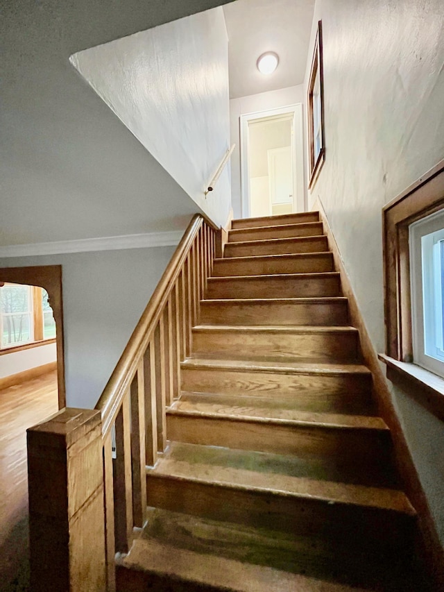 stairway with crown molding