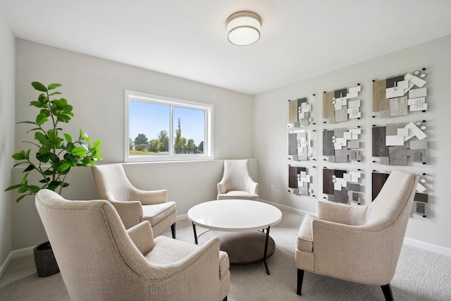 sitting room featuring carpet flooring