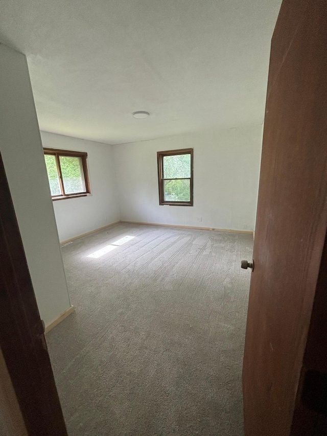 unfurnished room with carpet flooring