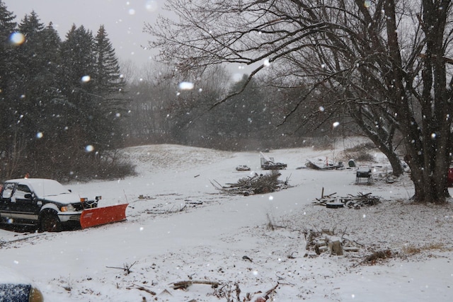 view of yard layered in snow