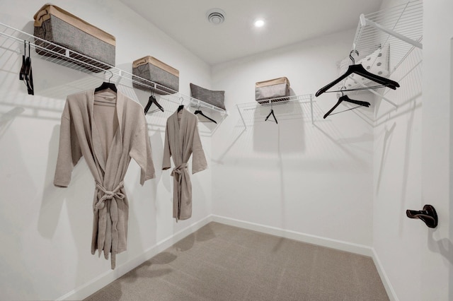 spacious closet featuring carpet floors