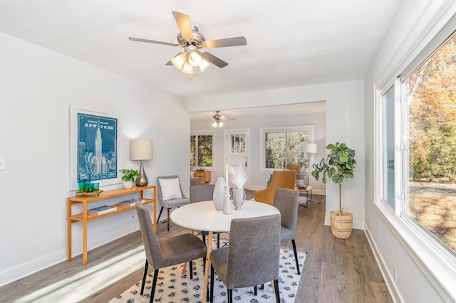 dining space featuring wood-type flooring, a wealth of natural light, and ceiling fan