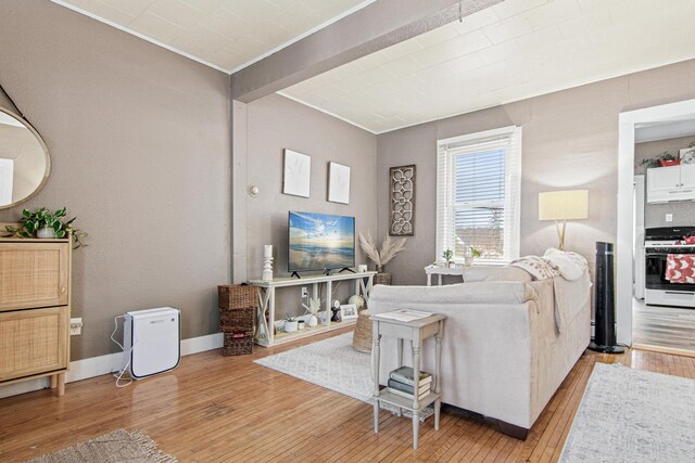 living room with light wood-type flooring and crown molding