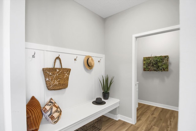 mudroom featuring wood-type flooring