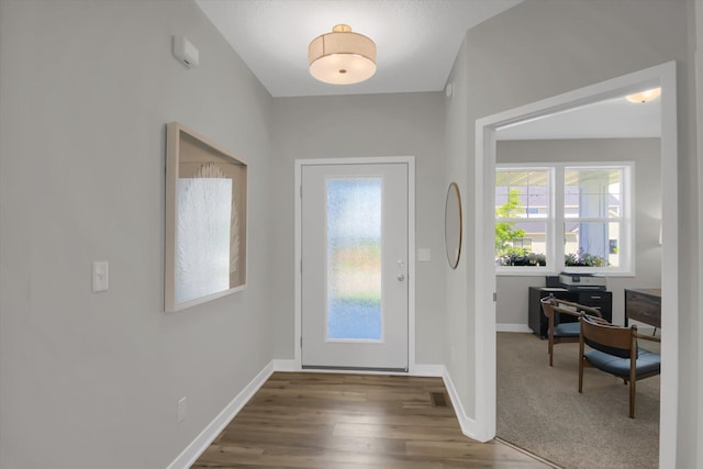 foyer entrance featuring wood-type flooring