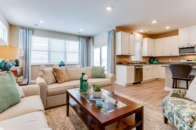 living room featuring light hardwood / wood-style flooring, a healthy amount of sunlight, and a textured ceiling