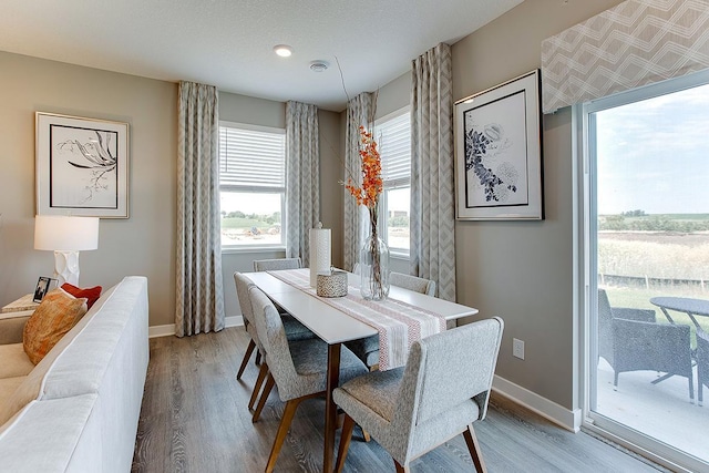 dining space with hardwood / wood-style flooring