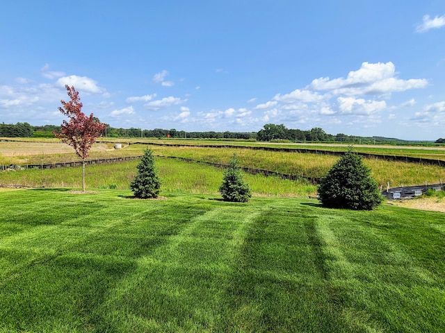 view of yard featuring a rural view