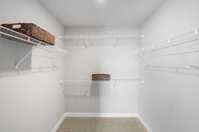 spacious closet with carpet