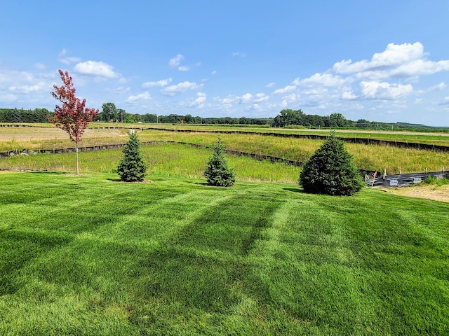 view of yard with a rural view