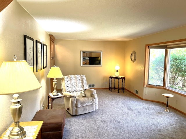 living area featuring carpet and a textured ceiling