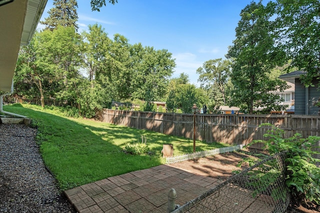 view of yard featuring a patio area