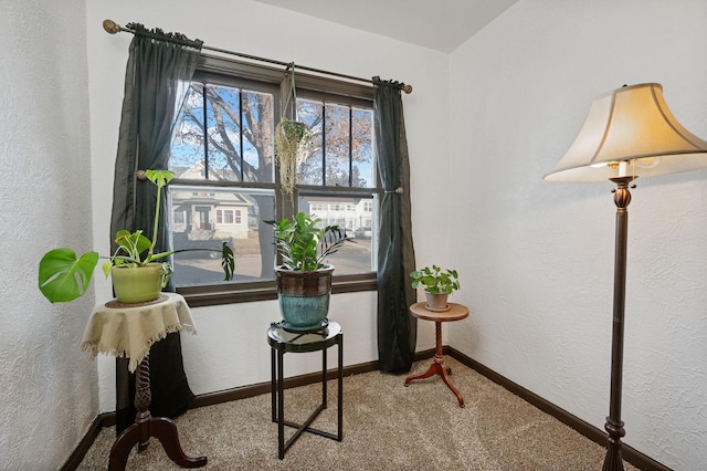 interior space with carpet floors