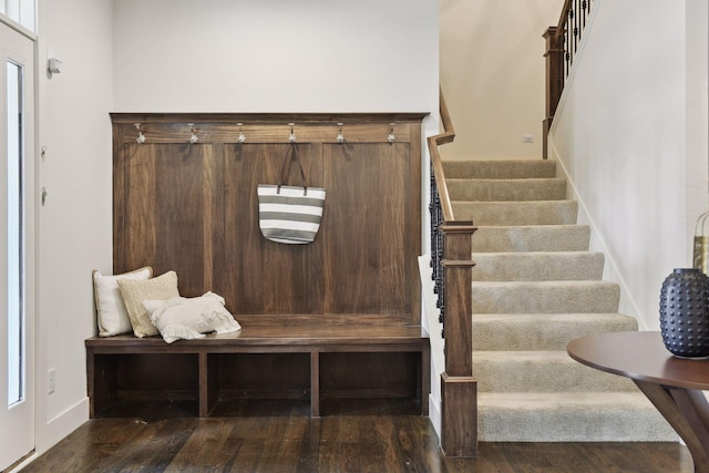 mudroom featuring dark wood-type flooring