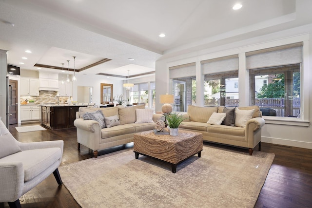 living room featuring dark wood-type flooring and a raised ceiling