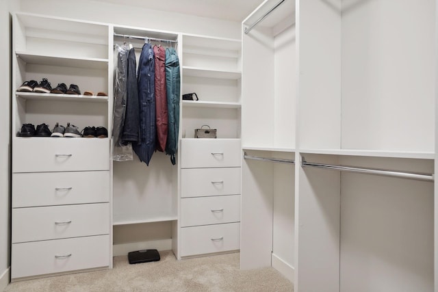 spacious closet with light carpet