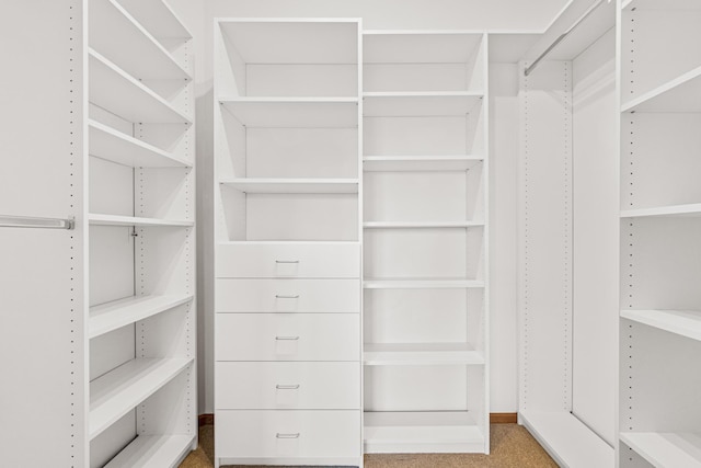 walk in closet featuring carpet flooring