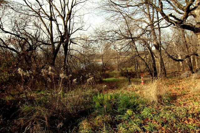 view of landscape