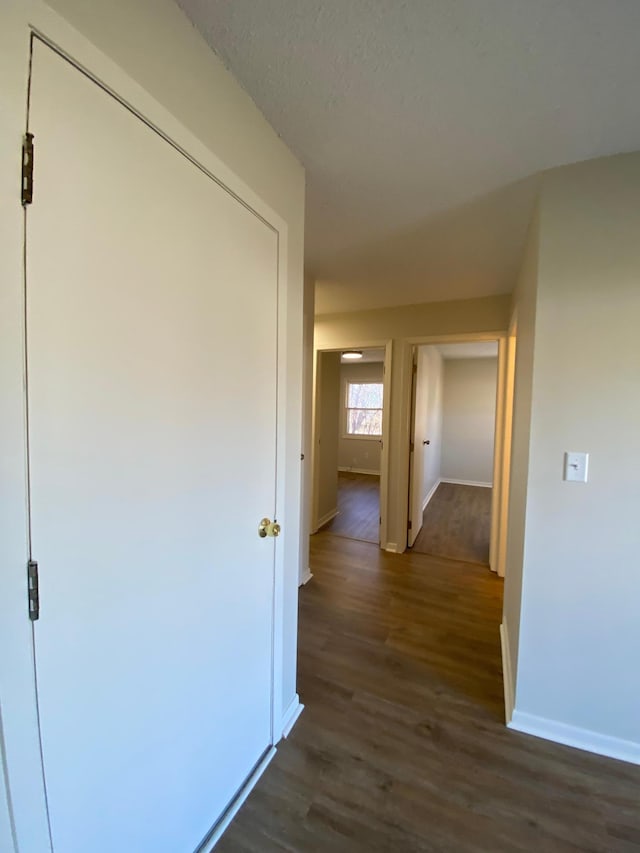 hallway featuring dark wood-type flooring