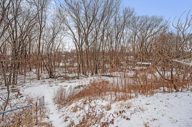 view of yard layered in snow