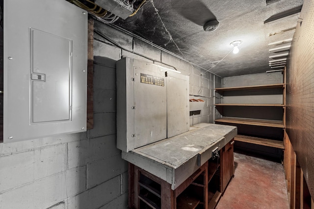 basement with electric panel