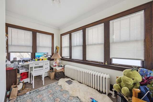 sunroom / solarium with radiator