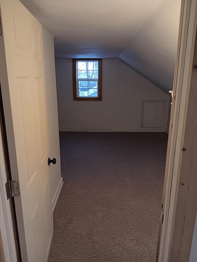 additional living space with vaulted ceiling and carpet flooring