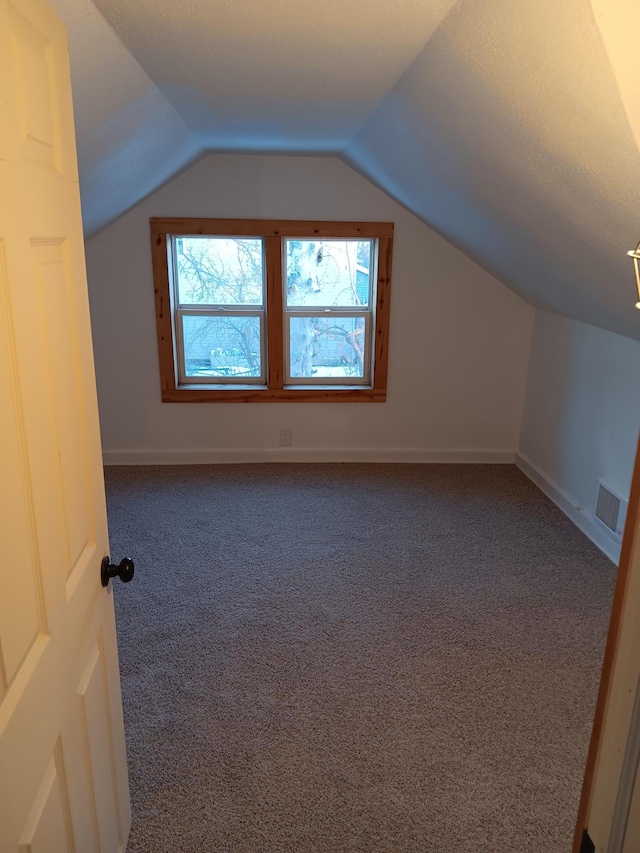 additional living space featuring carpet floors and vaulted ceiling