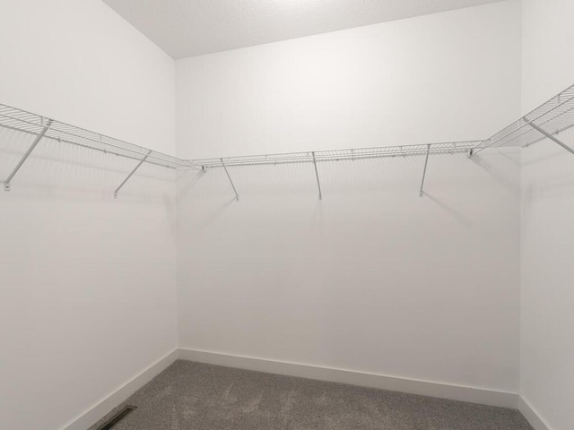 spacious closet featuring carpet flooring