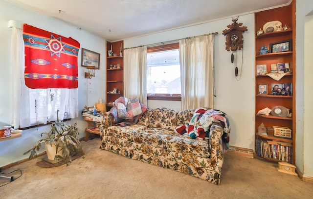 living area featuring carpet floors