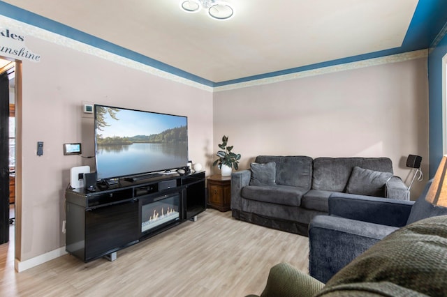 living room with ornamental molding and light hardwood / wood-style flooring