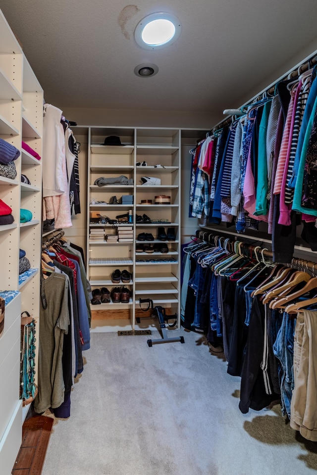 spacious closet featuring carpet