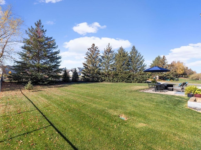 view of yard featuring a patio